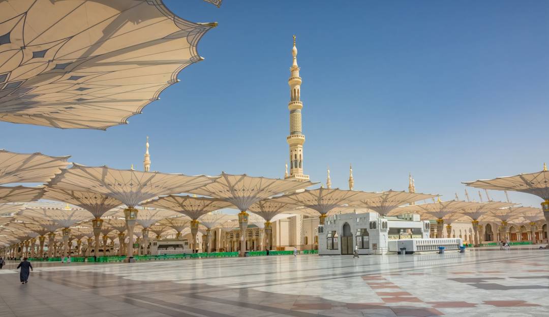 المدينة المنورة